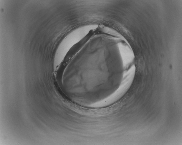 X0000075840027200610151556