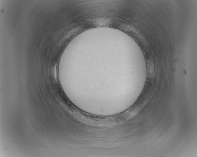 X0000075840028200610151556