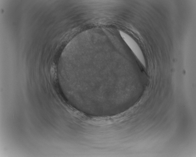 X0000075840029200610151556