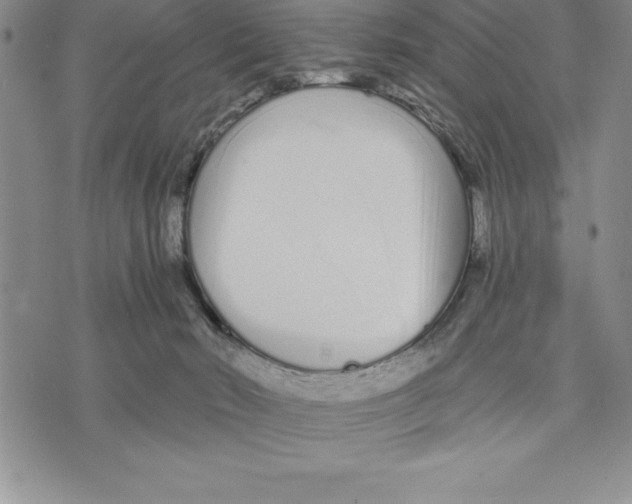 X0000075840030200610151556