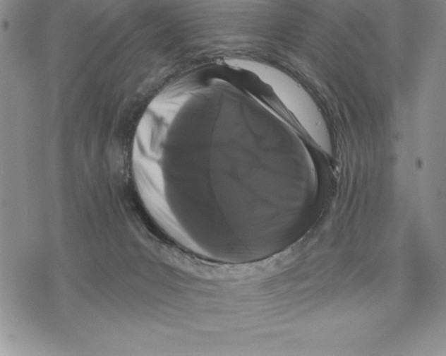 X0000075840031200610151556