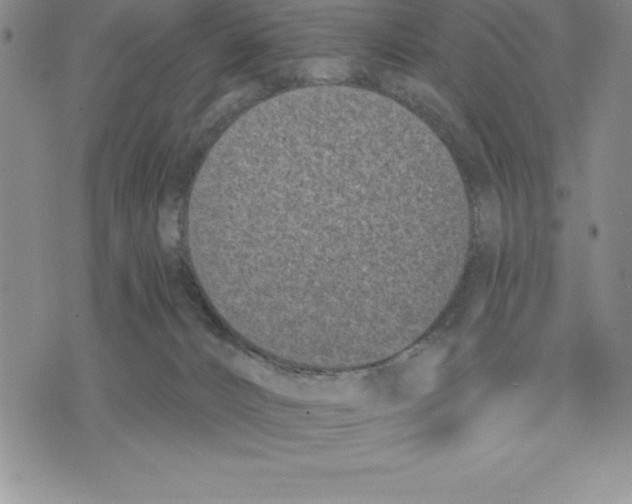 X0000075840032200610151556