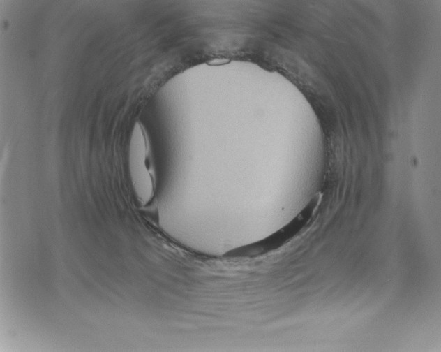 X0000075840033200610151556