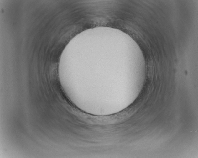 X0000075840034200610151556