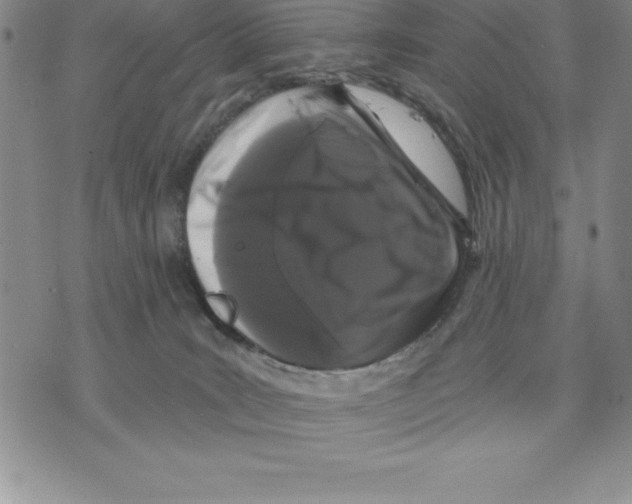 X0000075840035200610151556