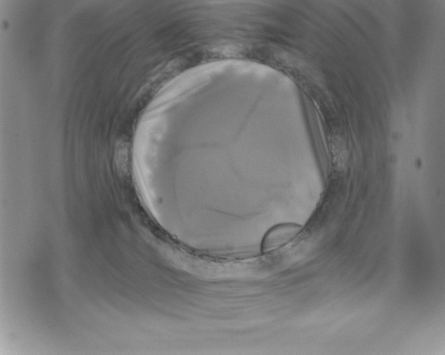 X0000075840036200610151556