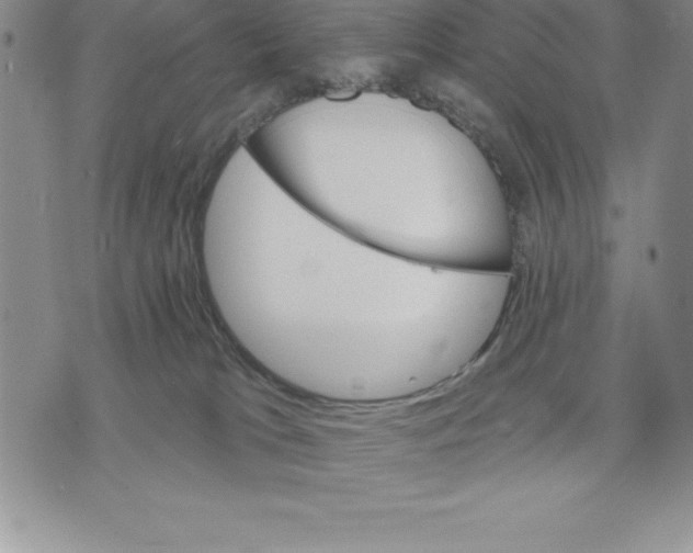 X0000075840037200610151556