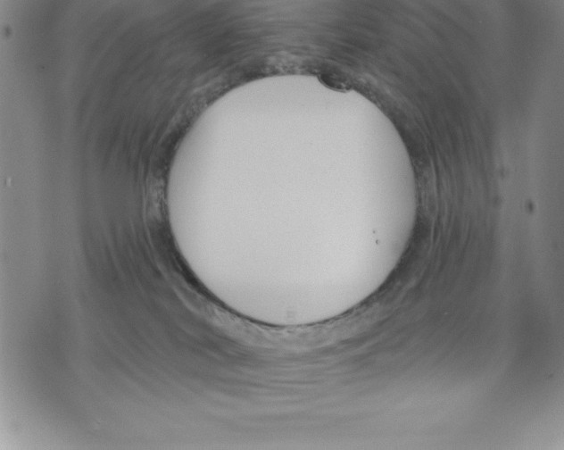 X0000075840038200610151556