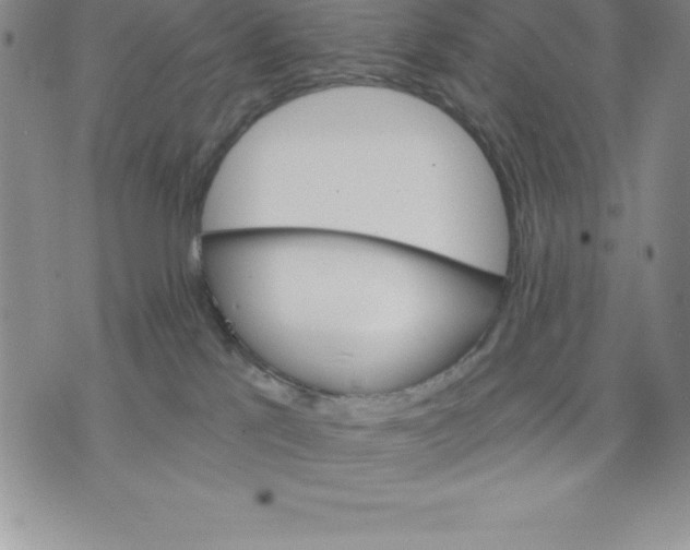 X0000075840041200610151556