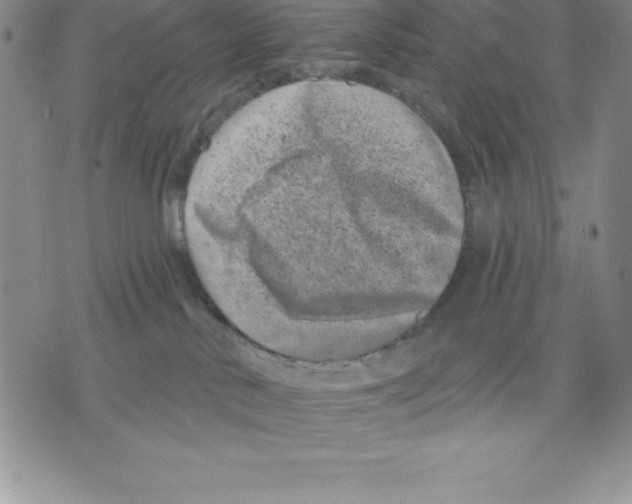 X0000075840042200610151556