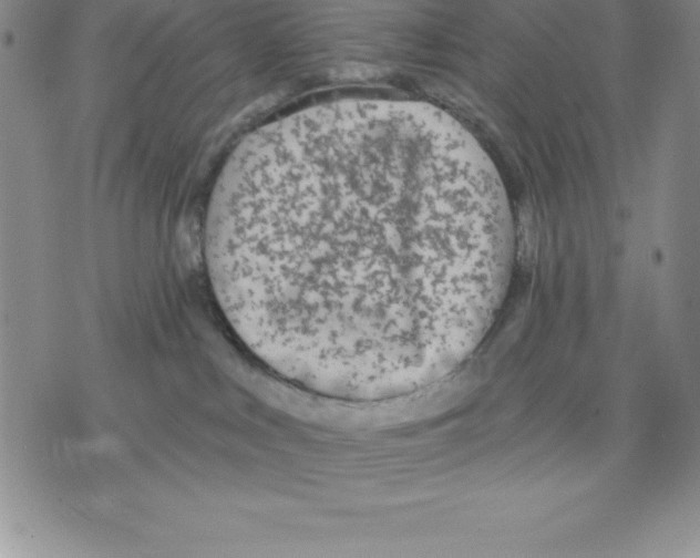 X0000075840043200610151556