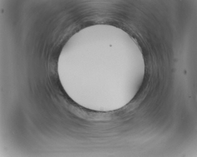 X0000075840044200610151556