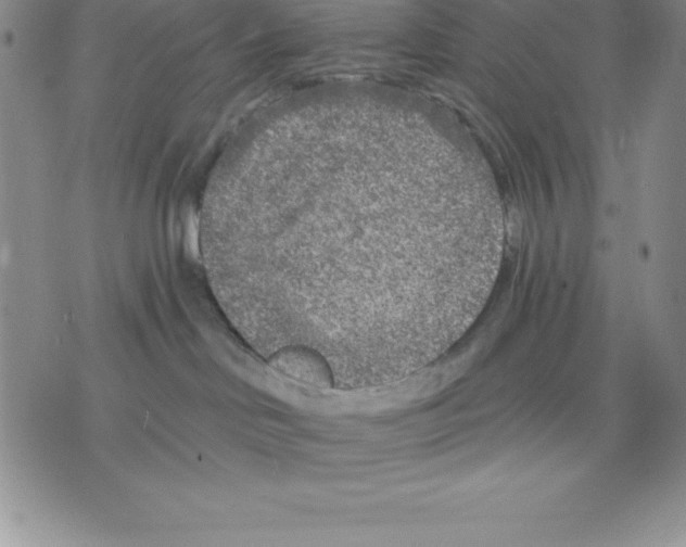 X0000075840046200610151556