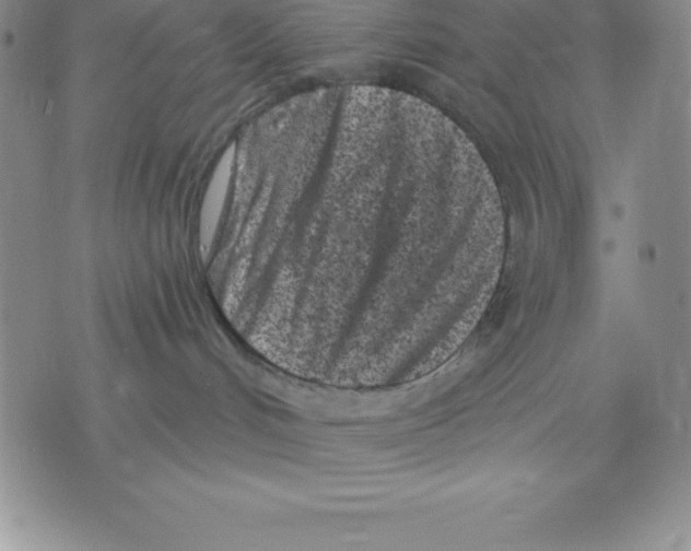 X0000075840048200610151556