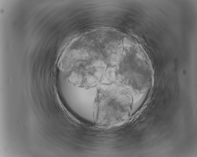 X0000075840049200610151555