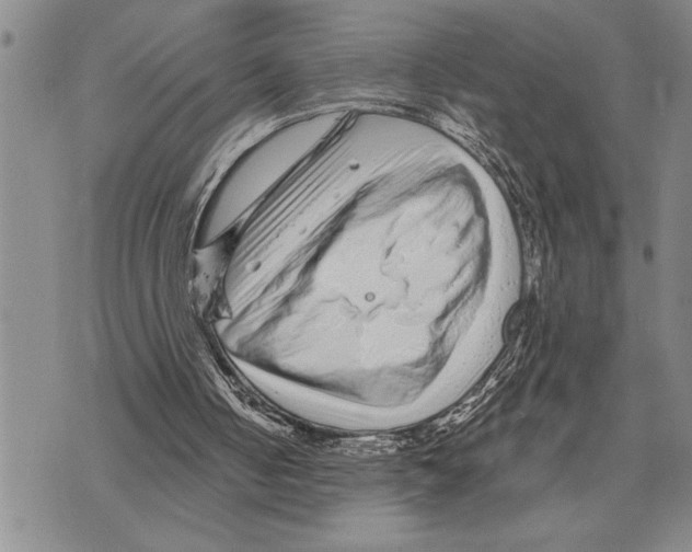 X0000075840050200610151555