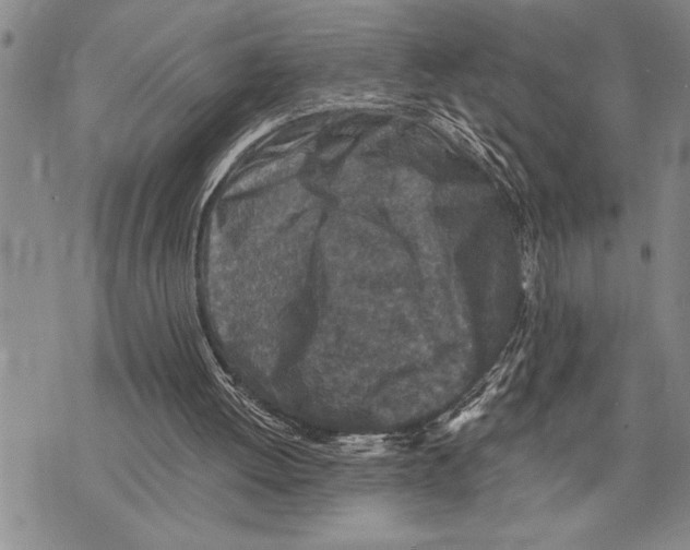 X0000075840052200610151555