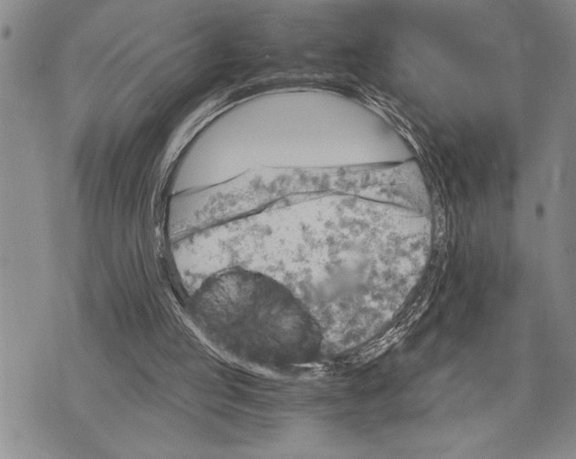 X0000075840053200610151555