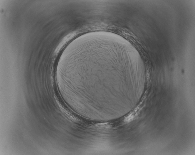 X0000075840054200610151555