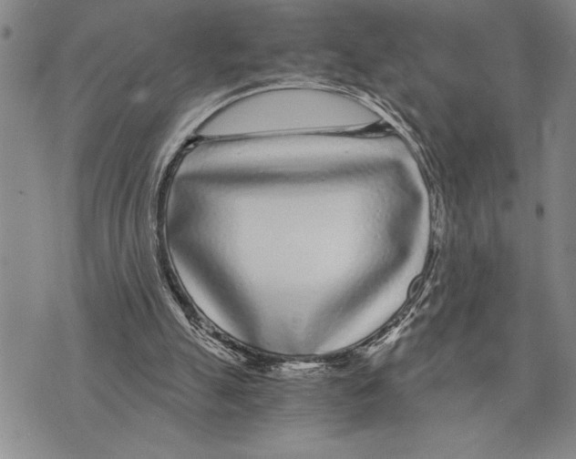 X0000075840055200610151555