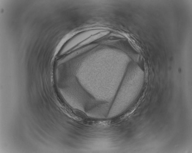 X0000075840056200610151555