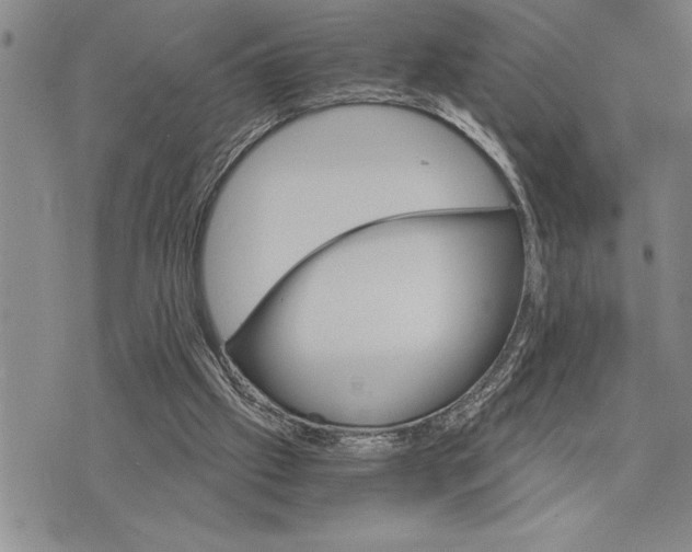 X0000075840057200610151555