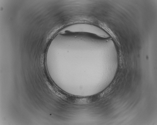 X0000075840058200610151555