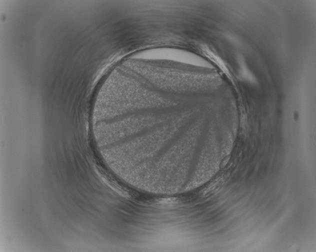 X0000075840059200610151555