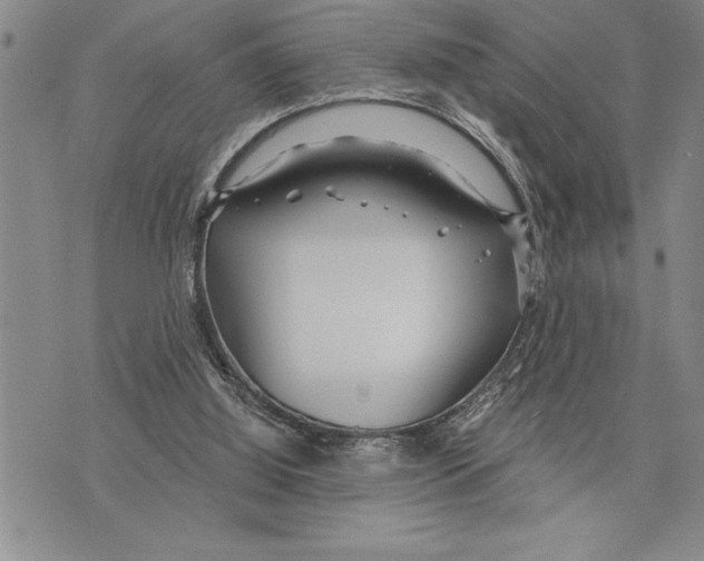 X0000075840060200610151555