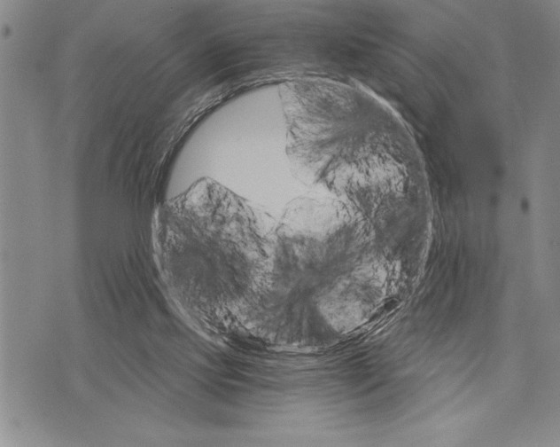 X0000075840061200610151555