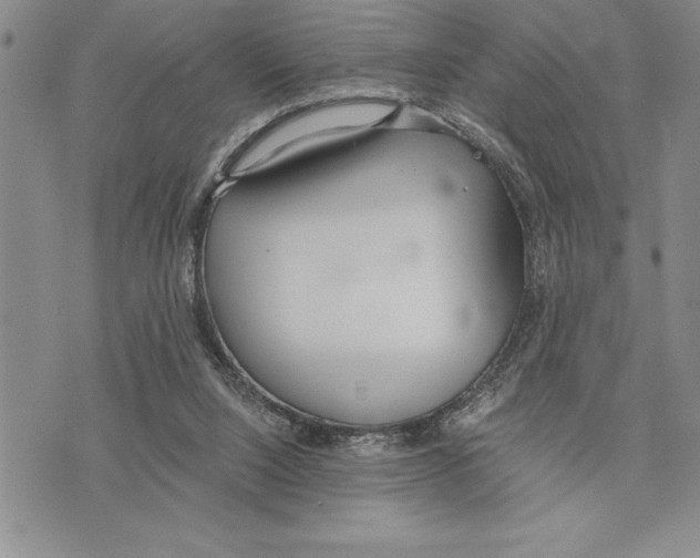 X0000075840064200610151555