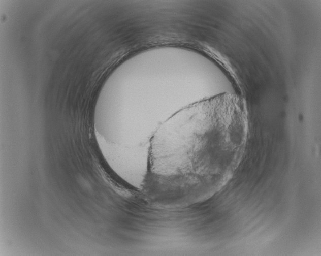 X0000075840065200610151555