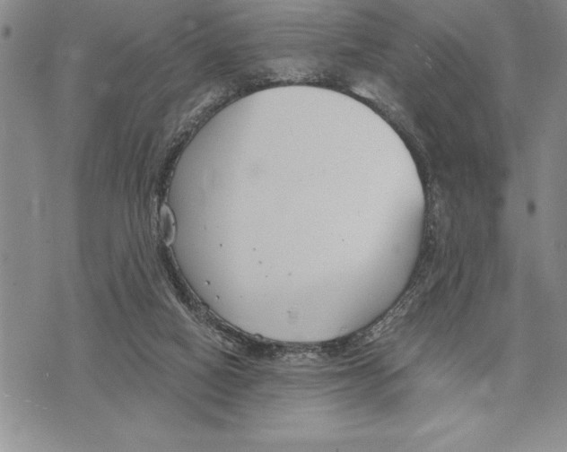 X0000075840066200610151555