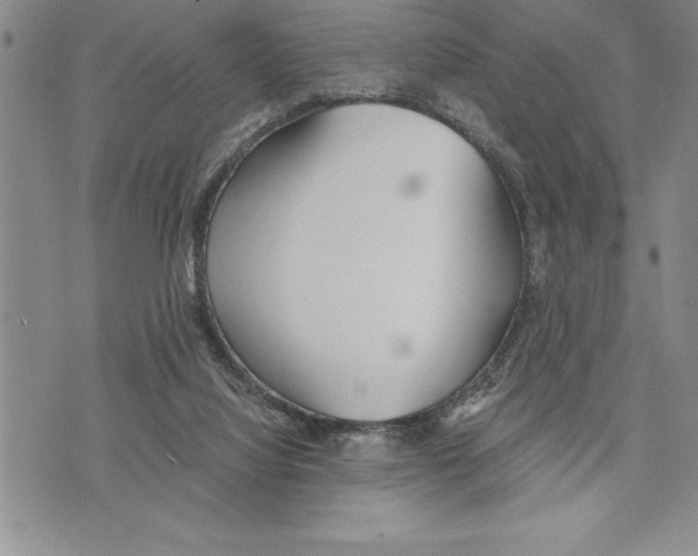 X0000075840068200610151555