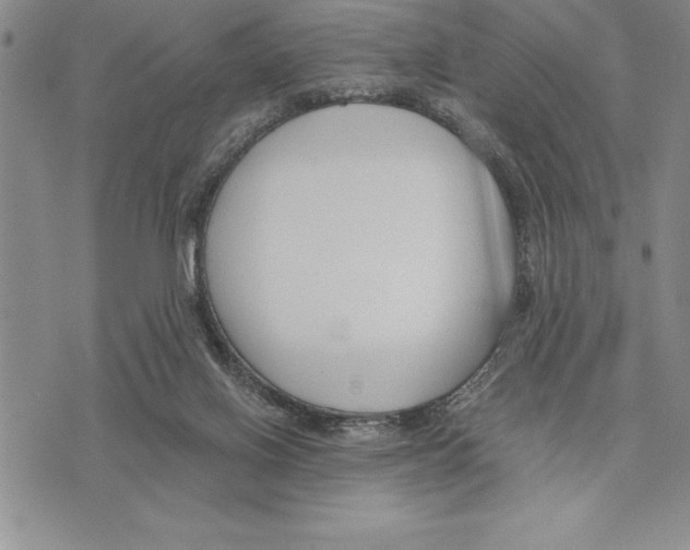 X0000075840070200610151555