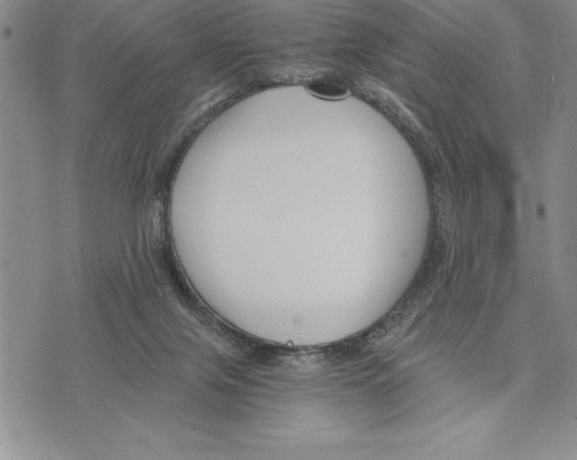 X0000075840071200610151555