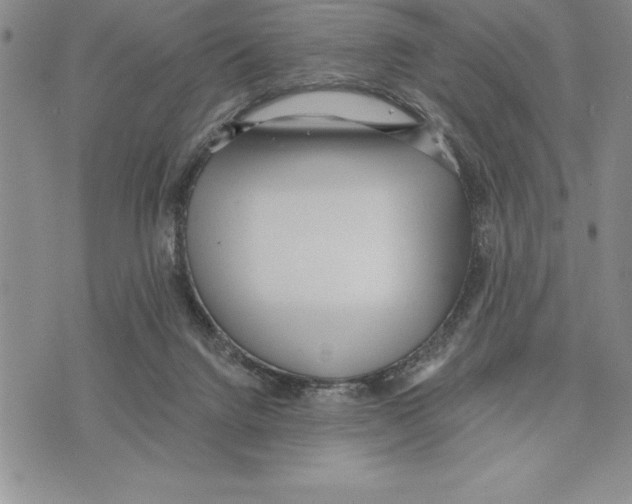 X0000075840072200610151555