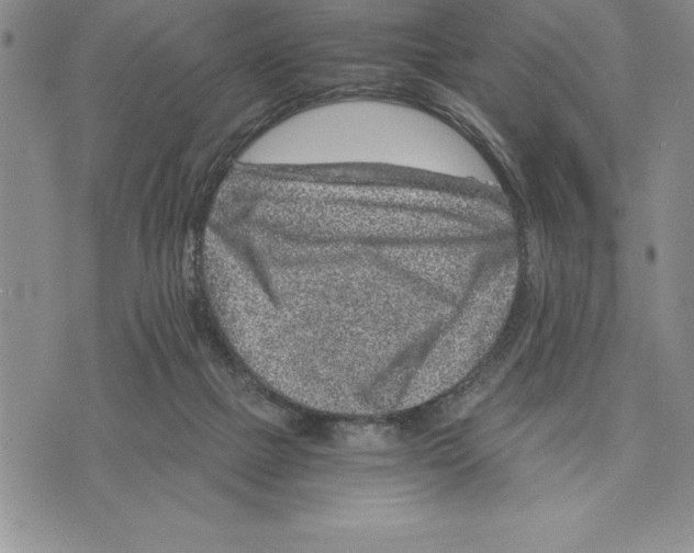 X0000075840073200610151555