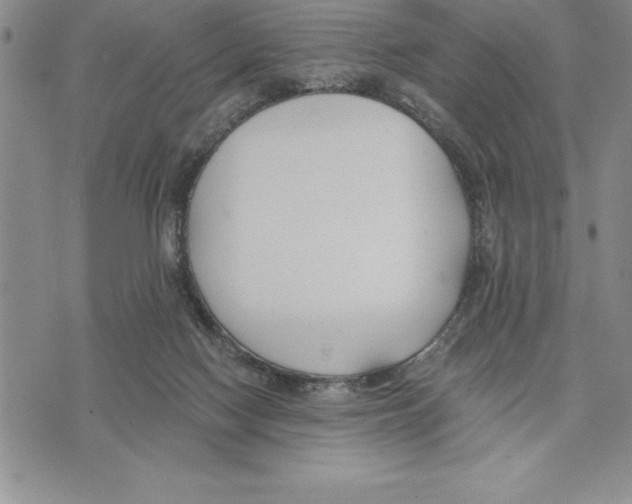 X0000075840074200610151555