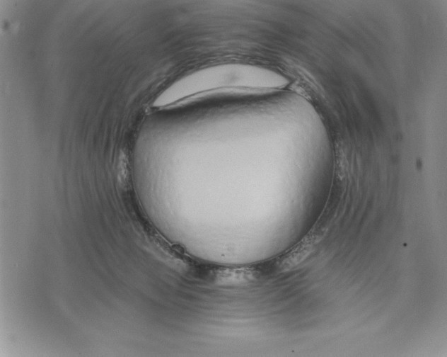 X0000075840077200610151555