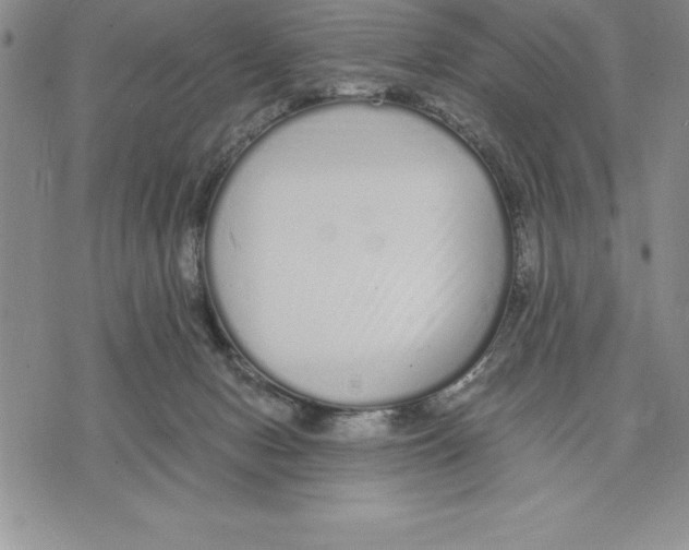 X0000075840078200610151555