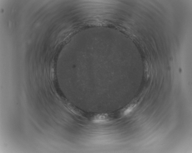 X0000075840080200610151555