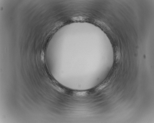 X0000075840081200610151555