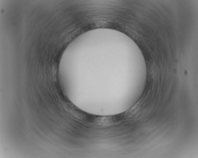 X0000075840082200610151556