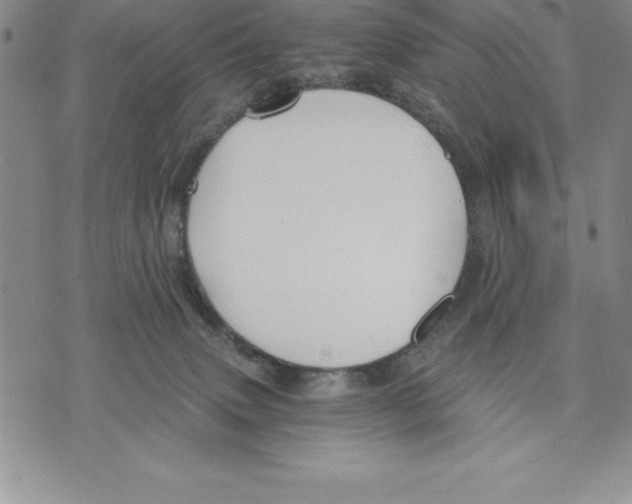 X0000075840083200610151556