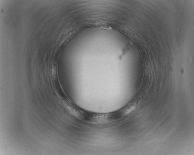 X0000075840084200610151556