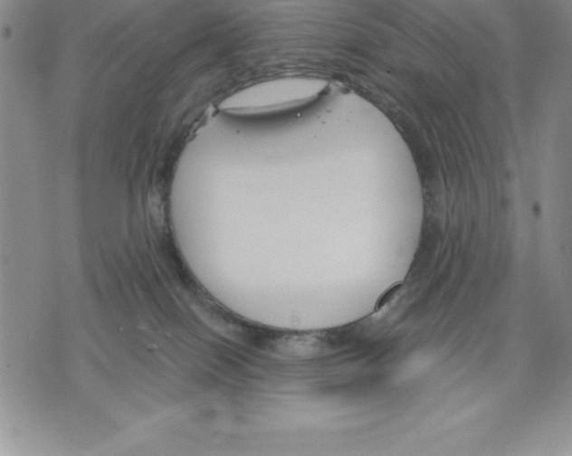 X0000075840086200610151556