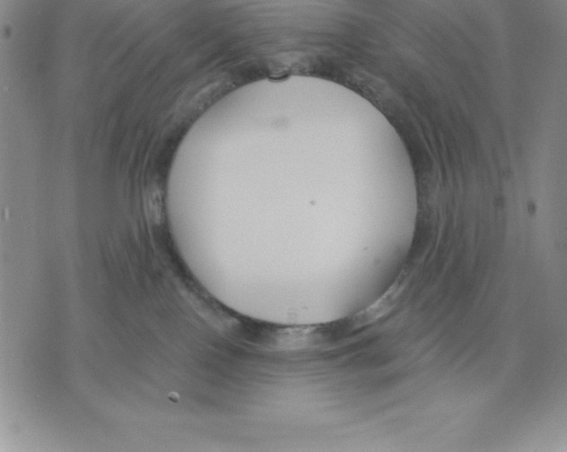 X0000075840090200610151556