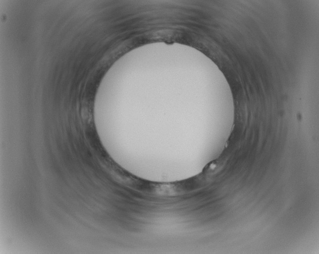 X0000075840091200610151556