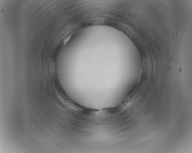 X0000075840092200610151556